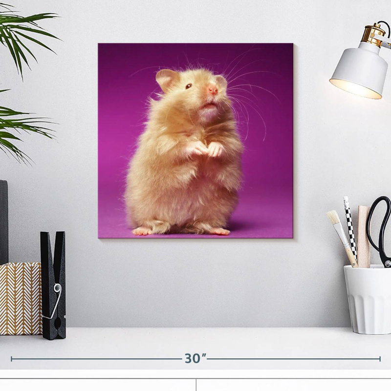Ketti Fluffy Hamster, 16" H x 16" W