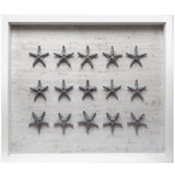 Sealife Print