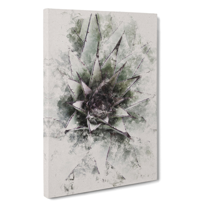 The Succulent Plant Watercolour - Wrapped Canvas Print, 91cm H x 60cm W x 3cm D
