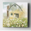 Daisy Barn - reproduction d'art-32972934-33511542