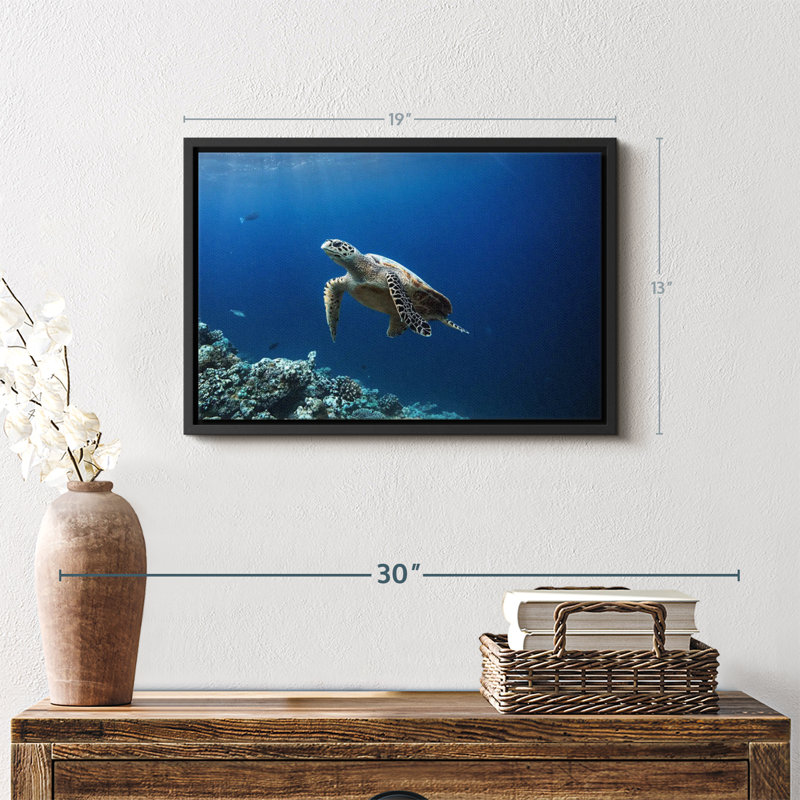 «Turtle Adventure», reproduction sur toile, H 13 po x l 19 po