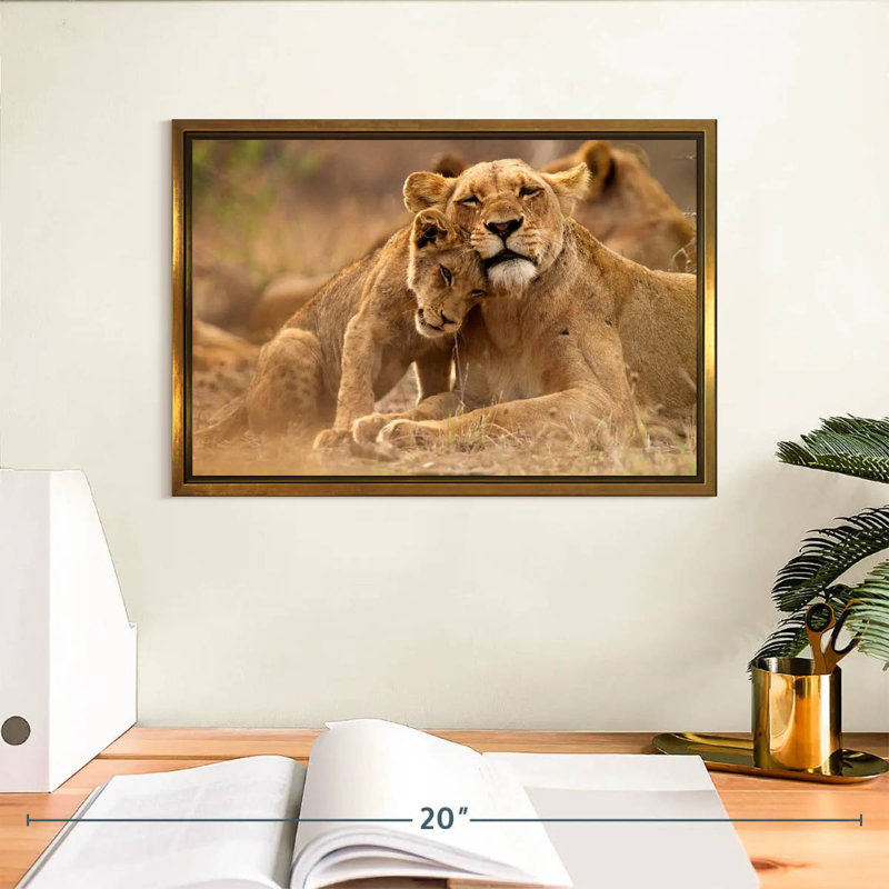 Lionne et louveteau, Cadre flottant doré, 13 po x 9 po