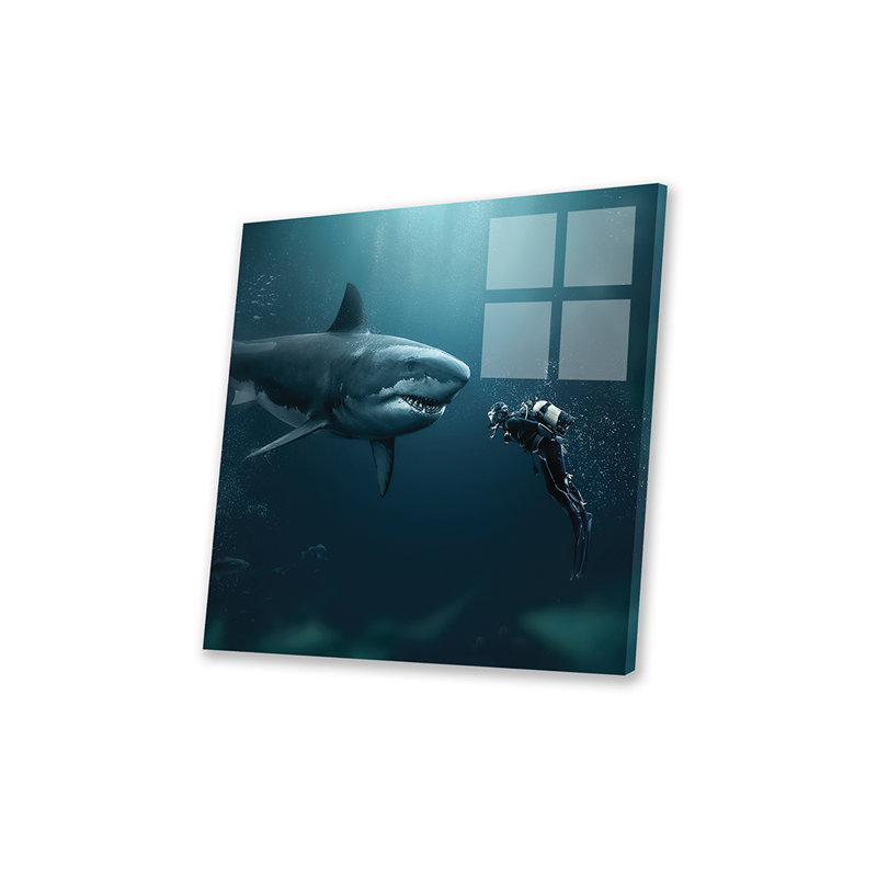 Shark Meets Diver par Zenja Gammer - photographie non encadrée