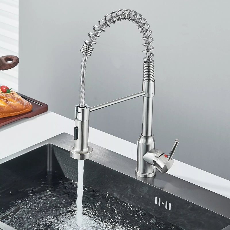 Belfry Kitchen Schunemunk Pull Down Kitchen Faucet