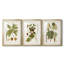 Feuilles antiques I - Impression sur mesure encadrée de qualité supérieure - 3 pièces