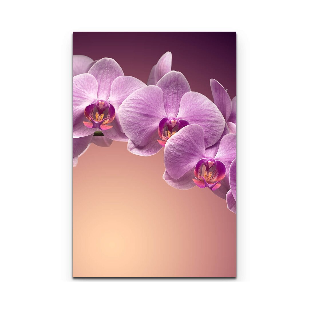 Leinwandbild Rosa Orchideenrispe – Nahaufnahme