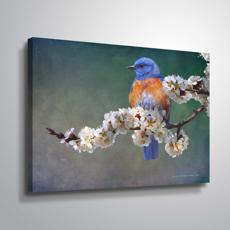 « pomme fleurs »-impression sur toile, H 14 po x l 18 po x P 2 po, Toile tendue