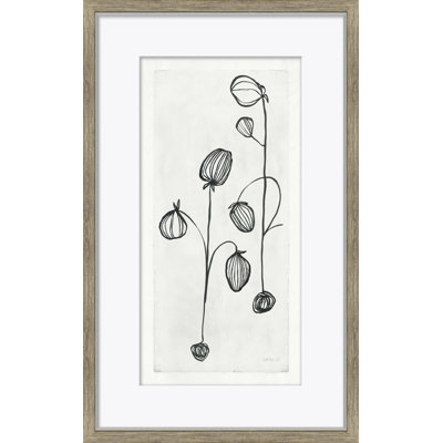 Garlic Giclee Print by Susan Hable