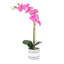 Orchidée rose et verte 18,5 "en pot