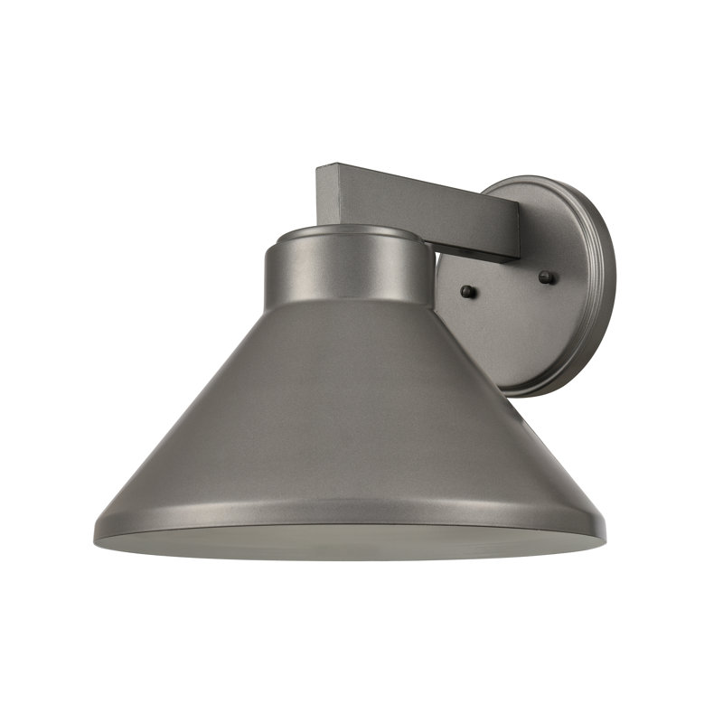 Applique murale d'extérieur 1 lumière Thane 10 po - Hématite, H 10 po x l 12 po x P 12,25 po