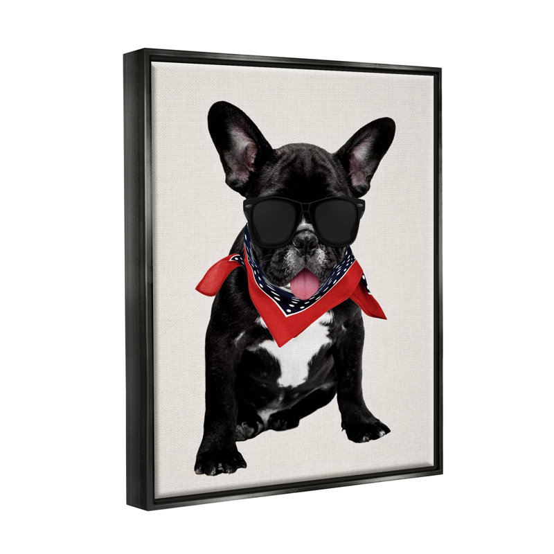 «Cool Dude French Bulldog Pet», impression, Cadre flottant noir de jais, H 21 po x l 17 po x P 1,7 po