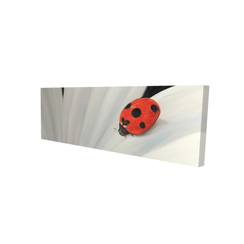 White Daisy and Ladybug - Insect White Canvas Home Decor