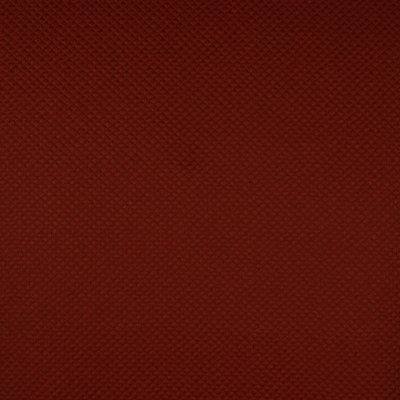 Allure Fabric