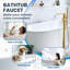 Robinet de baignoire autoportant à poignée simple en laiton massif avec bec cascade et douche à main-105208390