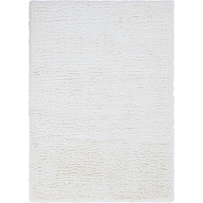 Indoor Rug