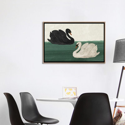 Black Swan White Swan