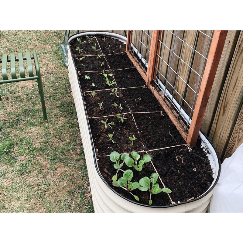 Pearl White 17" Tall Modular Metal Outdoor Raised Garden Bed