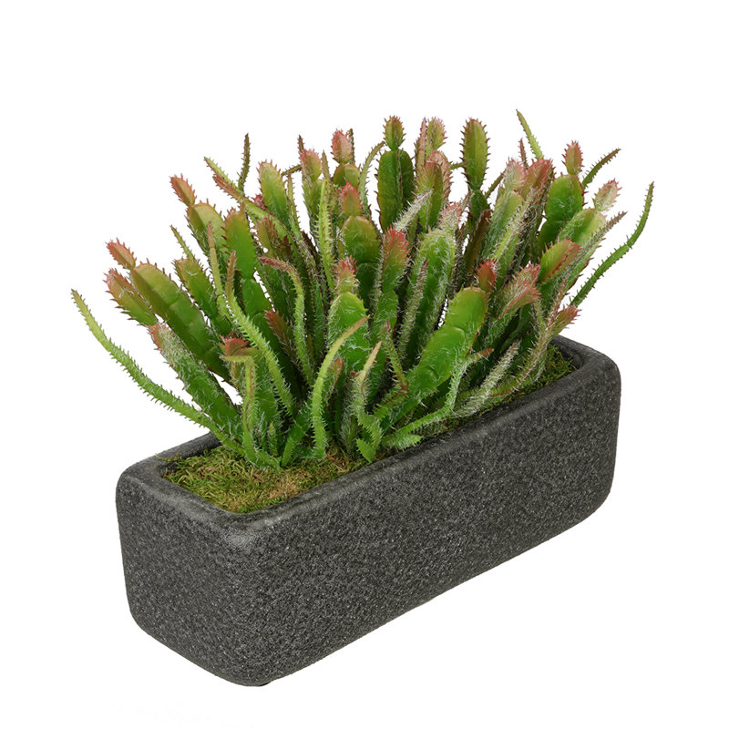 9.5'' Faux Succulent Plant in Ceramic Vase, Black
