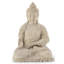 Asian Modern Enchanting Buddha