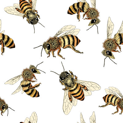 " Bee "