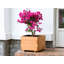 40"w Planter Box-1395806929