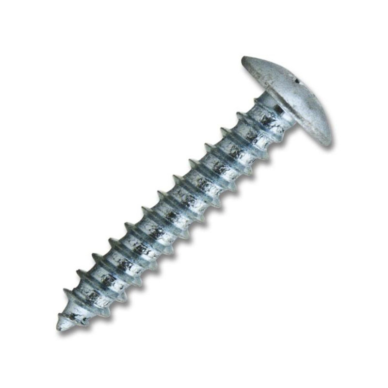 Fil à treillis en zinc Zinc Philips, 8 x 1 po