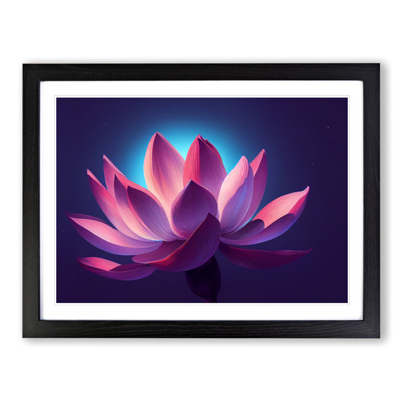 Appealing Lotus Flower - Single Picture Frame Print, Black, 46cm H x 64cm W
