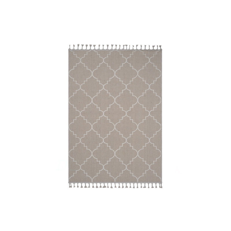 Collection 4X6 Trellis Indoor/Outdoor Area Rug, Rectangle 4' x 6'