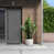 Ameican White Oak