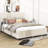 Drevaughn Queen Size Upholstered Platform Bed with Twin XL Trundle and 2 Drawers-1866652705