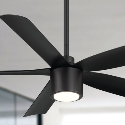 Ventilateur de plafond 5 pales avec télécommande et lumière à intensité variable RAVian