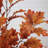 60'' Faux Foliage Tree in Pot