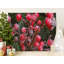 Wrapped Canvas Print Set-1861085239