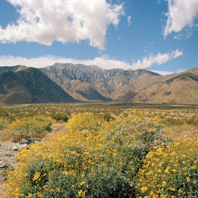 Mount San Jacinto by Lfreytag - Wrapped Canvas Print