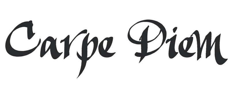 Décalcomanie murale indemnités journalières carpe diem, H 9,5 po x l 36 po x P 0,01 po, Noir