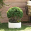 Garden Planters 5 Pcs 20 Cm Steel-1878025847-1878025850