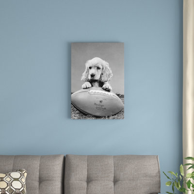 Reproduction de photo sur toile tendue, reproduction de photo sur toile tendue, "épagneul chiote de l 1960 Vintage Images