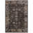 Vishnu Vintage Performance Oriental Rug-1663594048