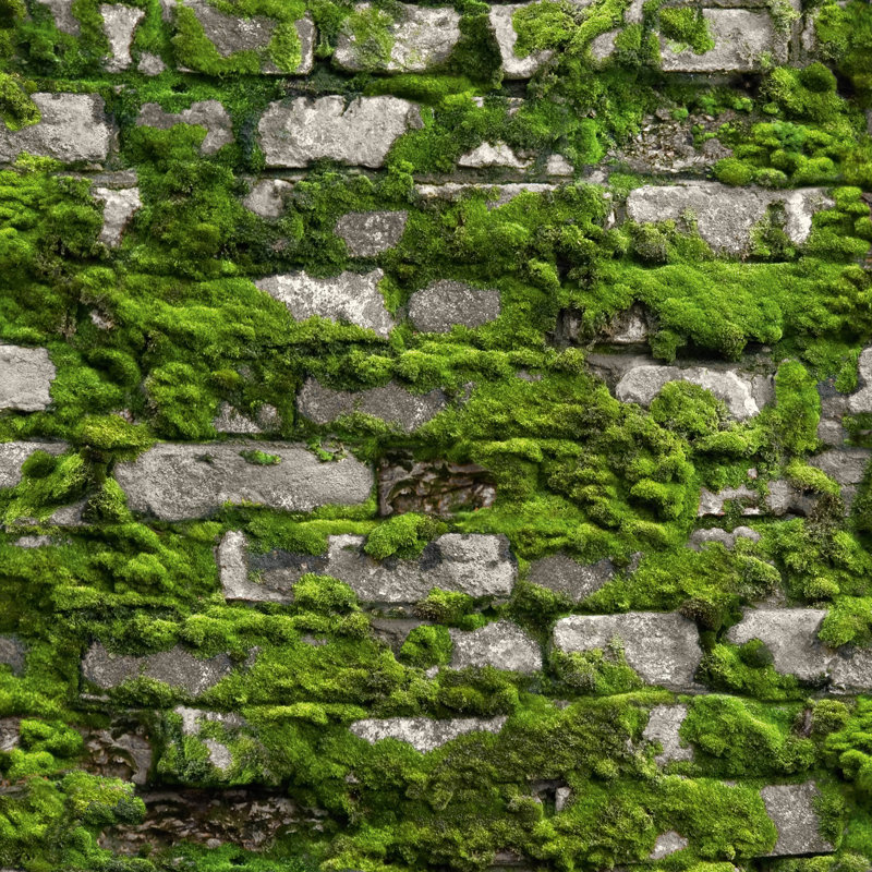 10cm x 53cm Matte Wallpaper Roll