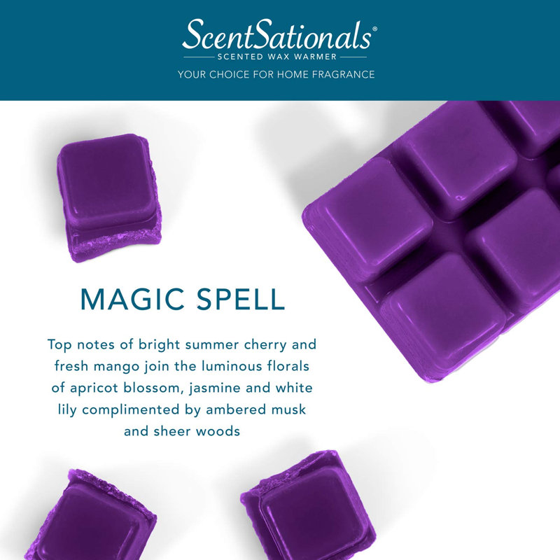 Collection de fond de cire ScentSationals 4PK, Sort magique
