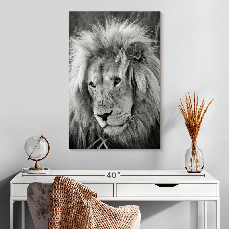 Brampt Lion Male I, 30" H x 20" W