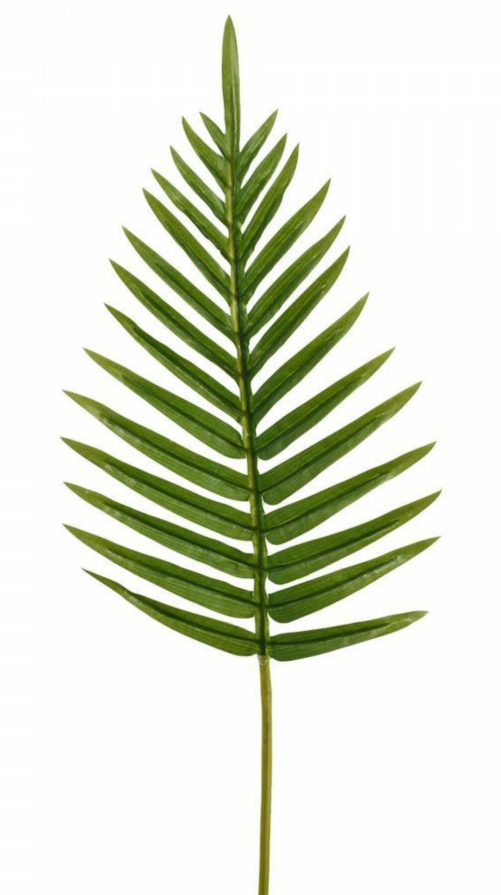 Bay Isle Home 26'' Fern Stem