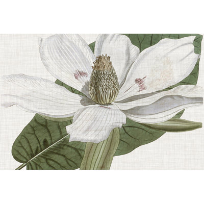 Curtis Magnolia II - Wrapped Canvas Painting Print