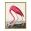 Coastal Retreat Pink Flamingo II From Birds Of America (1827)-1524922582-1524922402-1524922405