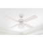 Romain 105cm Ceiling Fan-5545963
