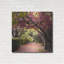 «Arch of Trees» par Colby Chester, art mural en métal, 12 po x 12 po-1390862829