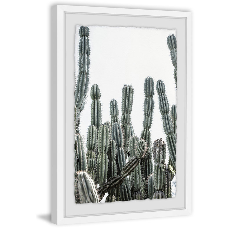 Cactus Jungle II by Ann Barnes - Single Picture Frame Print, 91cm H x 61cm W 