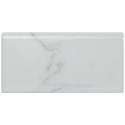 Classico Carrara 6" x 3" Glossy Ceramic Bullnose Tile Trim in White/Grey