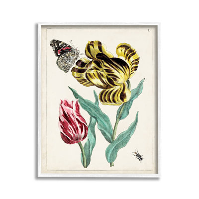 Rétro, nature et insectes, estampe numérique
