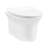 Cascade Wall-Hung Elongated Toilet Bowl